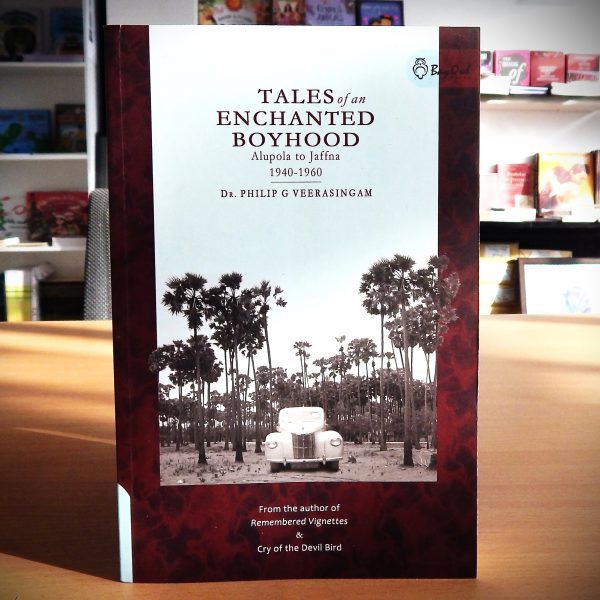 Tales of an Enchanted Boyhood -